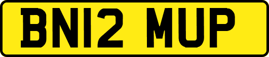 BN12MUP