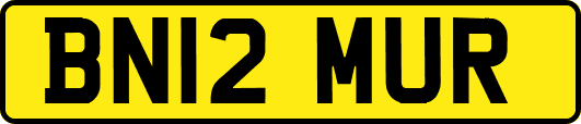 BN12MUR