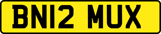 BN12MUX
