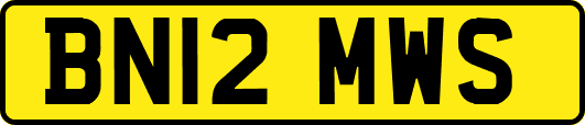 BN12MWS