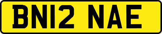 BN12NAE