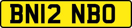 BN12NBO