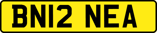 BN12NEA