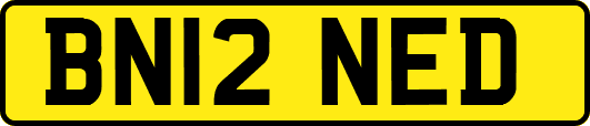 BN12NED