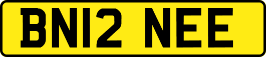 BN12NEE