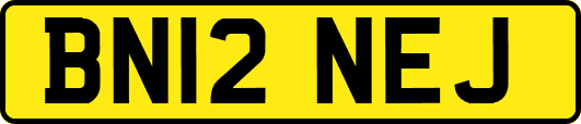 BN12NEJ