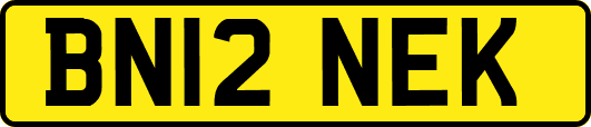 BN12NEK