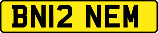 BN12NEM