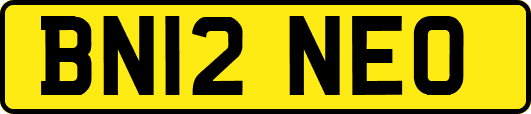 BN12NEO