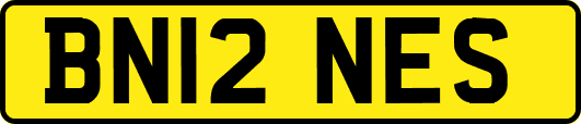 BN12NES