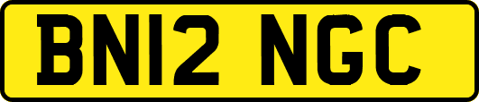 BN12NGC