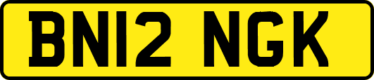 BN12NGK