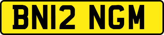 BN12NGM