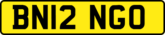 BN12NGO