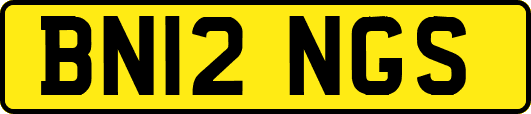 BN12NGS