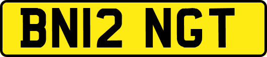 BN12NGT