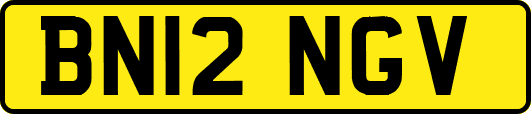 BN12NGV