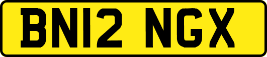 BN12NGX