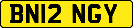 BN12NGY