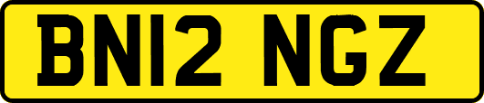 BN12NGZ