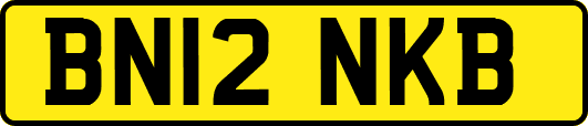 BN12NKB