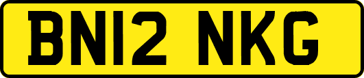 BN12NKG