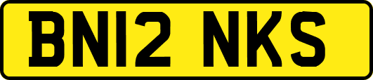 BN12NKS