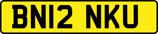 BN12NKU