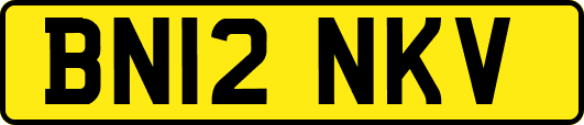 BN12NKV