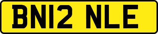 BN12NLE