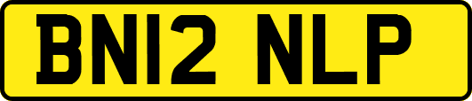 BN12NLP