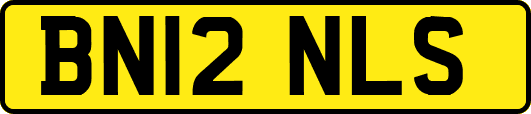 BN12NLS