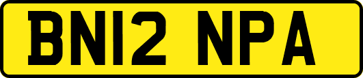 BN12NPA