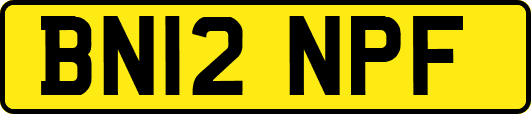 BN12NPF