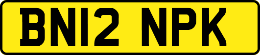 BN12NPK