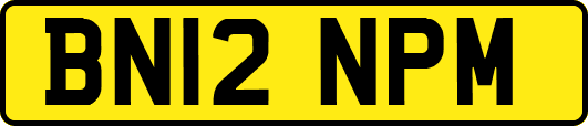 BN12NPM