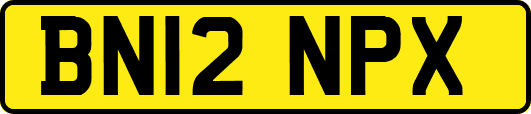 BN12NPX