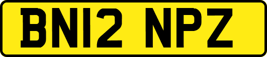 BN12NPZ