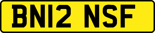 BN12NSF