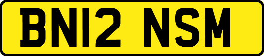 BN12NSM