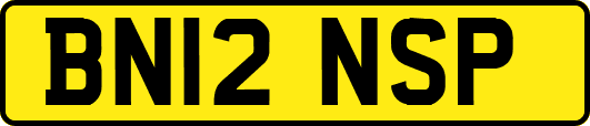 BN12NSP