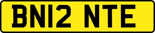 BN12NTE