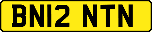 BN12NTN