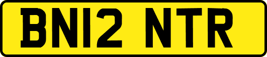 BN12NTR