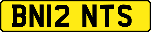 BN12NTS