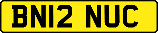 BN12NUC
