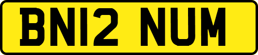 BN12NUM