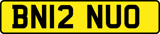 BN12NUO