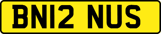 BN12NUS