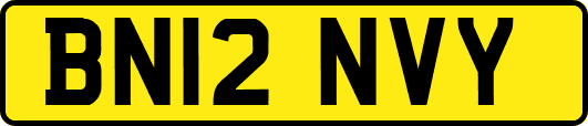BN12NVY